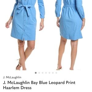 J. McLaughlin Bay Blue Long Sleeve Dress